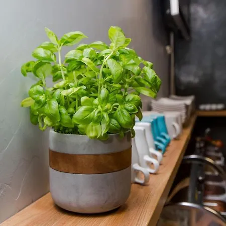 Hviezda Casa de hóspedes *